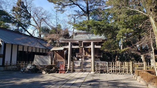 �v�ɓ��_��