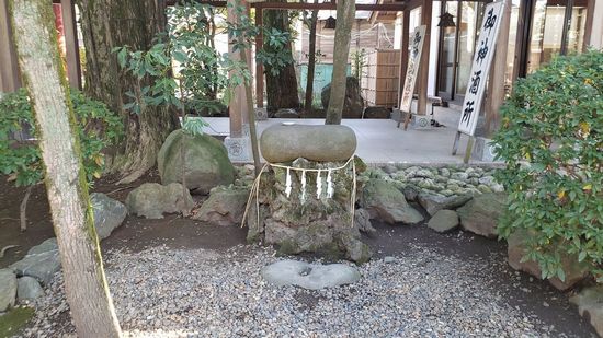 �v�ɓ��_��