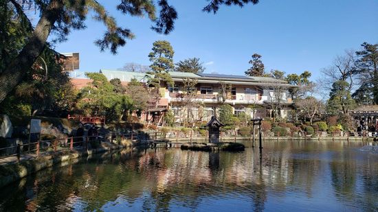 �v�ɓ��_��