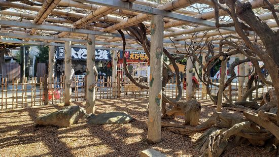 �v�ɓ��_��