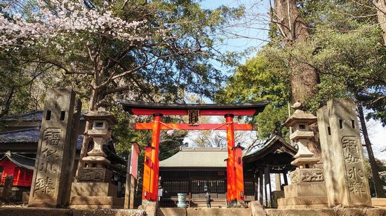 ��J��X��_�Ђ̉摜