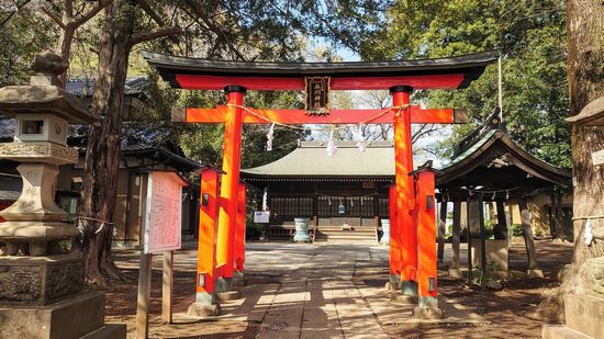 ��J��X��_�Ђ̉摜