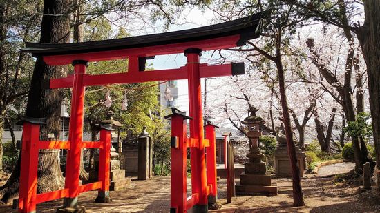 ��J��X��_�Ђ̉摜