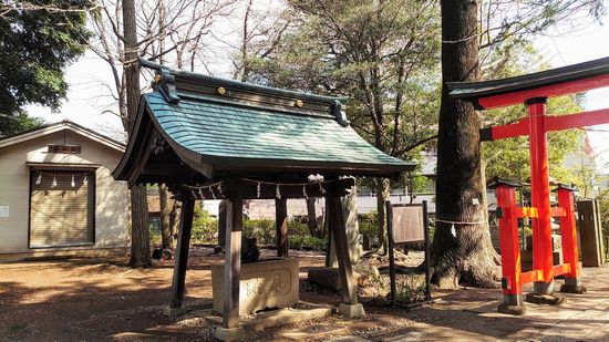 ��J��X��_�Ђ̉摜