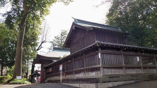 ��J��X��_�Ђ̉摜