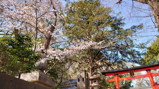 ��J��X��_�Ђ̉摜