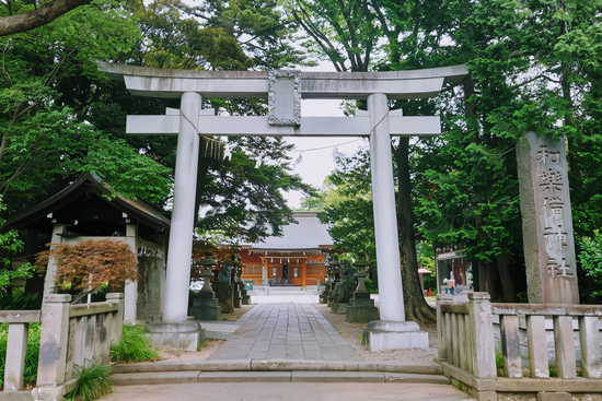 �a�ٔ��_��