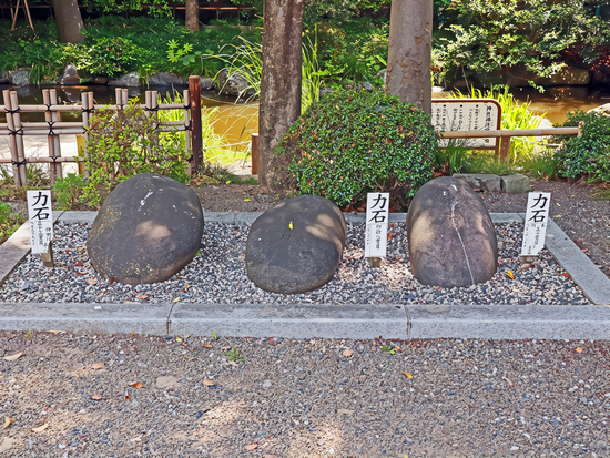 �a�ٔ��_��