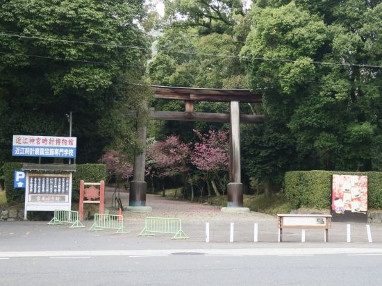 �ߍ]�_�{�̑�꒹�����ʂ���̎ʐ^