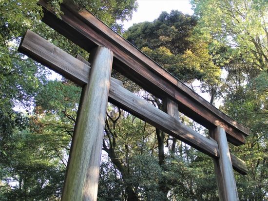 �ߍ]�_�{�̑�꒹�����ʂ���̎ʐ^