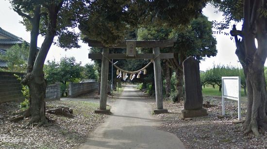 ���������{