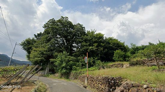 ���͋��N�_��