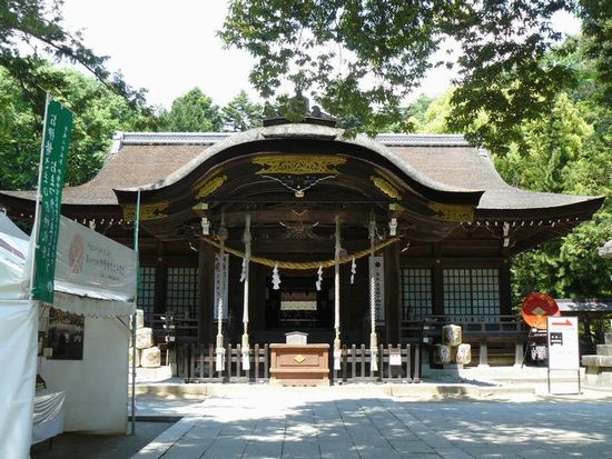 ���c�_��